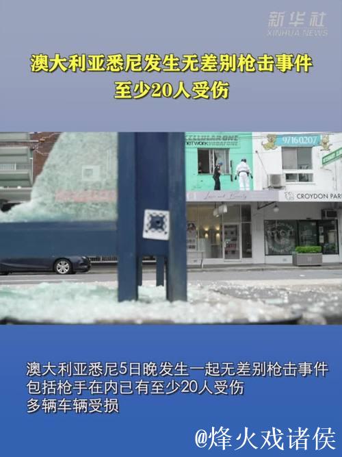 澳大利亚邦迪海滩发生无差别射击事件